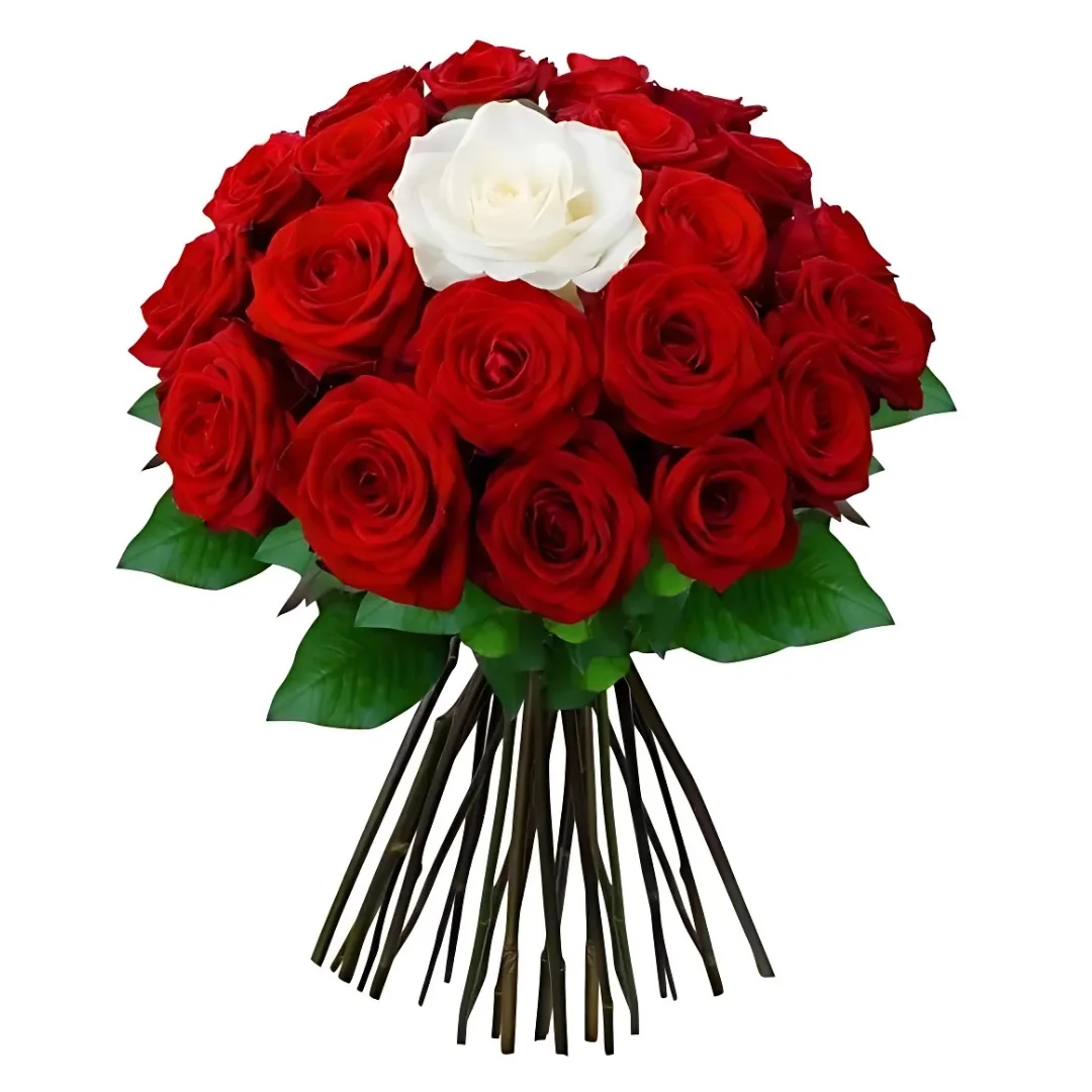 flowers-23 Tu Es Unique – Bouquet 9 Fleurs Rouges et 1 Rose Blanche